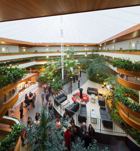 Pavilion on Northbourne - Australia Accommodation 11