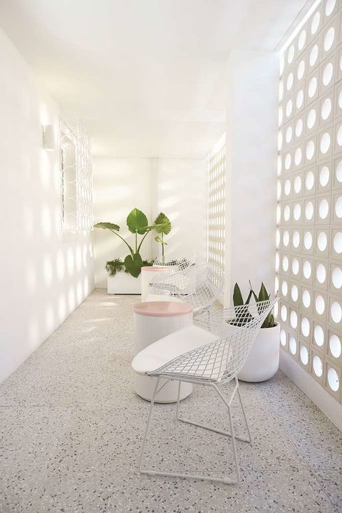 Adina Apartment Hotel Chippendale - Australia Accommodation 3