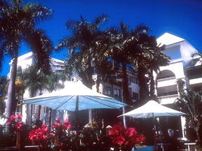 Alamanda Palm Cove - Australia Accommodation 1