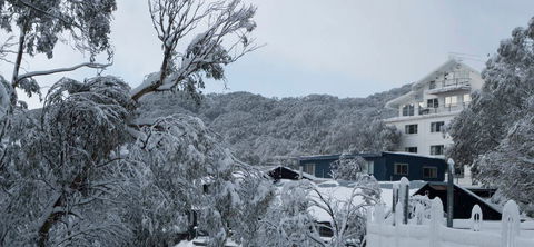 Attunga Alpine Lodge - Australia Accommodation 0