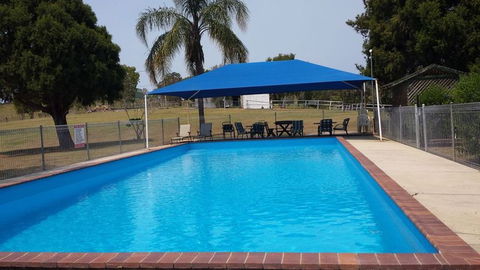 Jacaranda Motor Lodge - Australia Accommodation 2