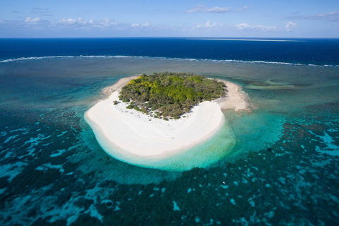 Wilson Island Resort - Australia Accommodation 0