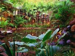 Daintree Eco Lodge & Spa - Australia Accommodation 0