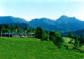 Hillcrest Mountain View Retreat - Australia Accommodation 2