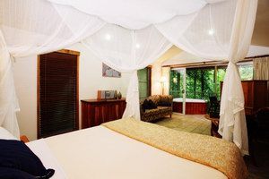 Daintree Eco Lodge & Spa - Australia Accommodation 1