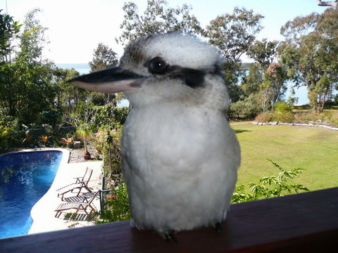 Yarrandabbi Dreaming Boutique B&B - Australia Accommodation 2