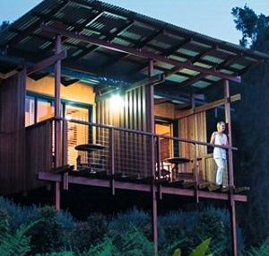 O'Reilly's Rainforest Guesthouse - Australia Accommodation 1