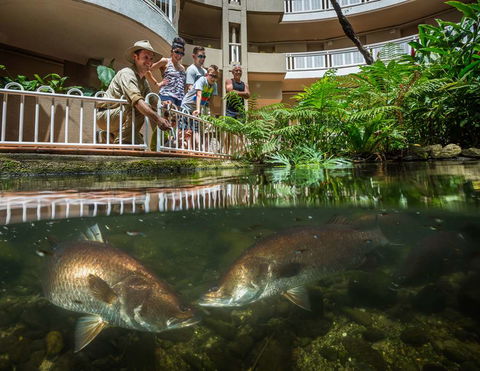 DoubleTree By Hilton Cairns - Australia Accommodation 4