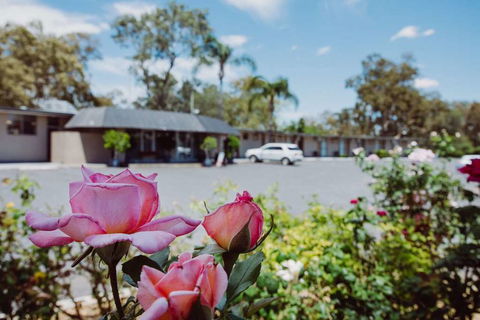 Artesian Spa Motor Inn - Australia Accommodation 2