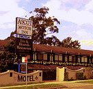 Golden Chain Ascot Motor Inn - Australia Accommodation