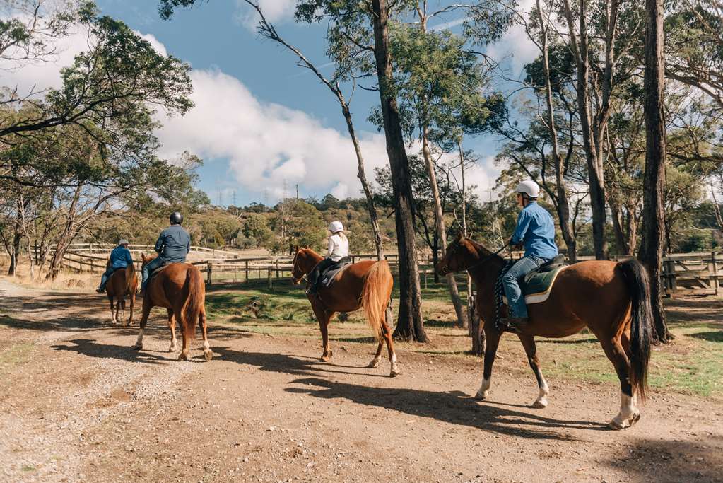 Youngtown TAS Australia Accommodation