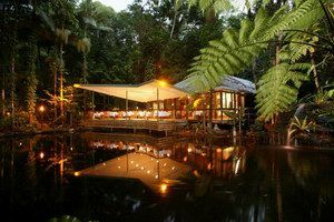 Daintree Eco Lodge & Spa - Australia Accommodation 2
