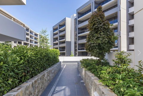 Modern Executive Apt@Barton*1BR*WiFi*Gym*Secure Parking*Canberra - Australia Accommodation 19