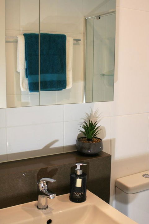 Modern Executive Apt@Barton*1BR*WiFi*Gym*Secure Parking*Canberra - Australia Accommodation 13