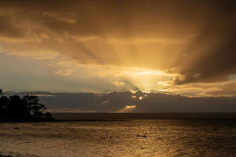 Mercure Kangaroo Island Lodge - Australia Accommodation 16