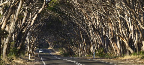 Mercure Kangaroo Island Lodge - Australia Accommodation 40