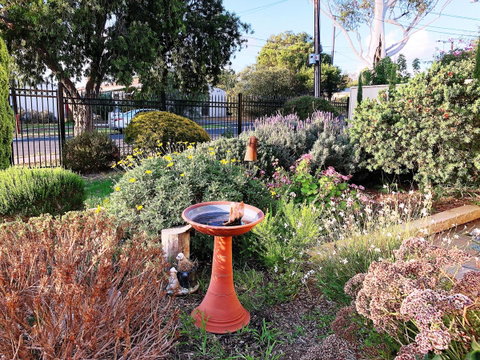 Beautiful Garden House - Australia Accommodation 21