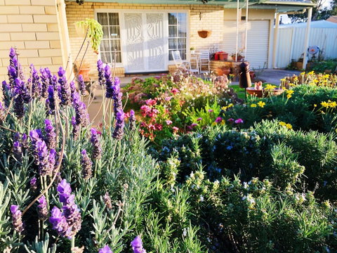 Beautiful Garden House - Australia Accommodation 9