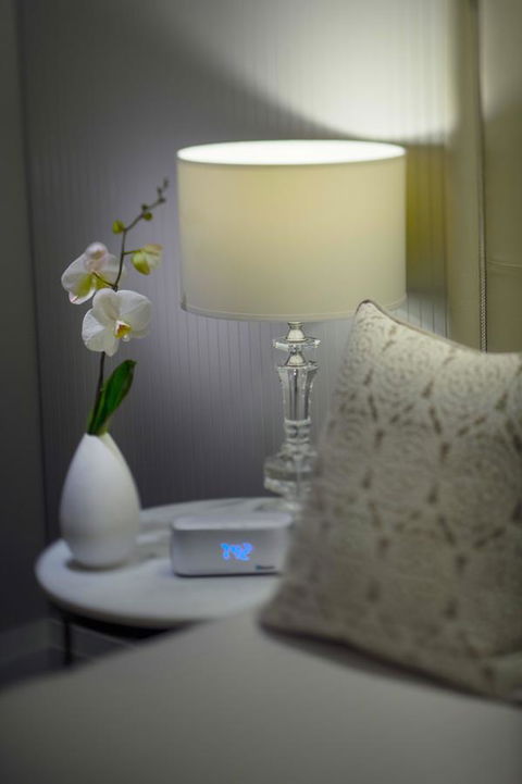 Mayfair Hotel - Australia Accommodation 13