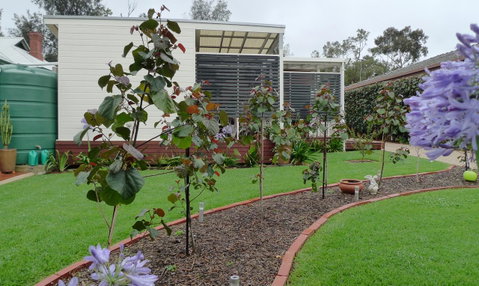 Grassmere House Magill - Australia Accommodation 19