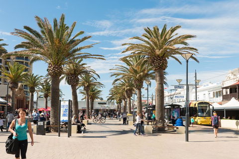 Luxury Beachside Accomodation - Australia Accommodation 16