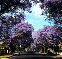 Monaco Court Apartment Adelaide - Australia Accommodation