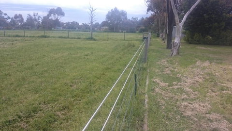 Gaerwood B&B - Australia Accommodation 17