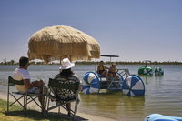 Book Barmera Accommodation Vacations Australia Accommodation Australia Accommodation