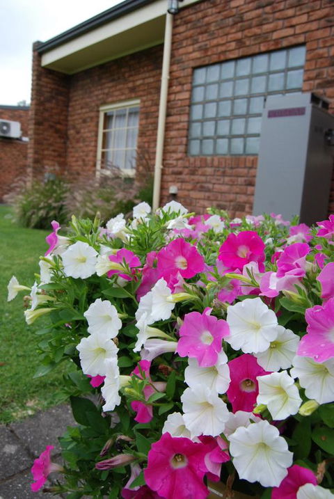 Arkana Motor Inn & Terrace Apartments - Australia Accommodation 40