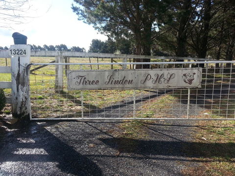 Three Linden - Australia Accommodation 6