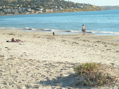 Brighton Beach House - Australia Accommodation 12