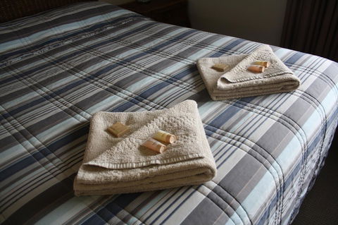 Isis Motel Scone - Australia Accommodation 3