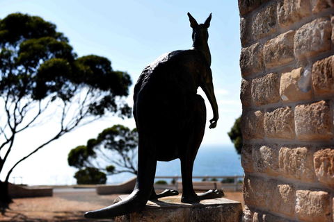 Admirals Inn - Australia Accommodation 12
