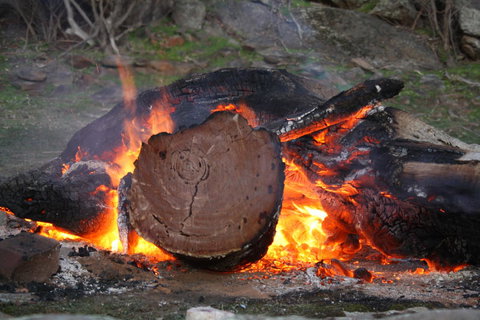Rabbiters Hut - Australia Accommodation 15