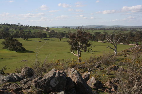 Rabbiters Hut - Australia Accommodation 28