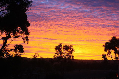 Rabbiters Hut - Australia Accommodation 33