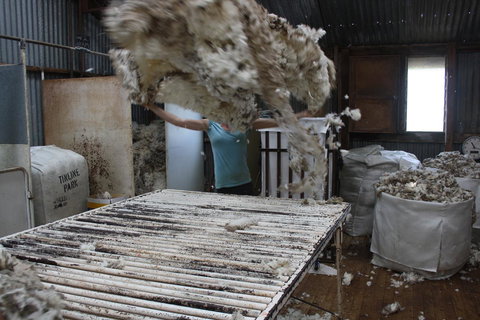 Rabbiters Hut - Australia Accommodation 19