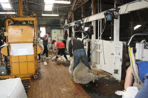 Rabbiters Hut - Australia Accommodation 18