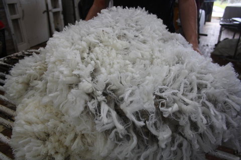 Rabbiters Hut - Australia Accommodation 20