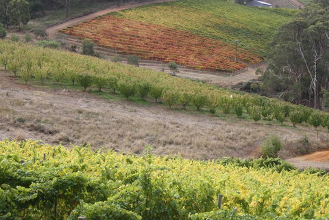 Rabbiters Hut - Australia Accommodation 25