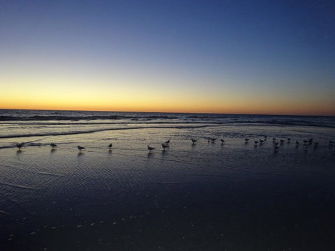 Selene Holiday Apartment @West Beach - Australia Accommodation 6