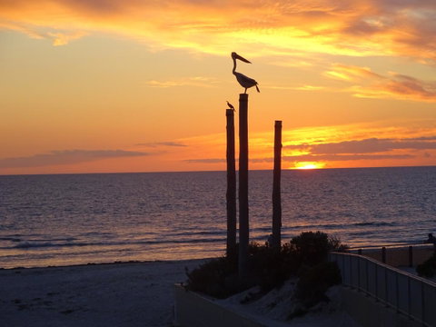 Selene Holiday Apartment @West Beach - Australia Accommodation 2