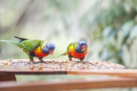 Smiths Lake House - Australia Accommodation 18