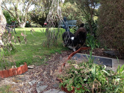 Casuarina Coastal Units - Australia Accommodation 29