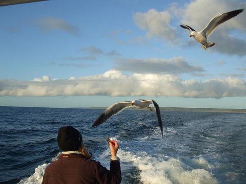 Casuarina Coastal Units - Australia Accommodation 25