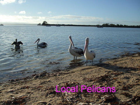 Casuarina Coastal Units - Australia Accommodation 23