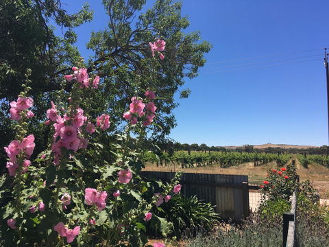 Amy\'s House Bed & Breakfast - Australia Accommodation 29