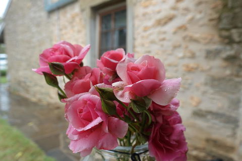 Amy\'s House Bed & Breakfast - Australia Accommodation 30