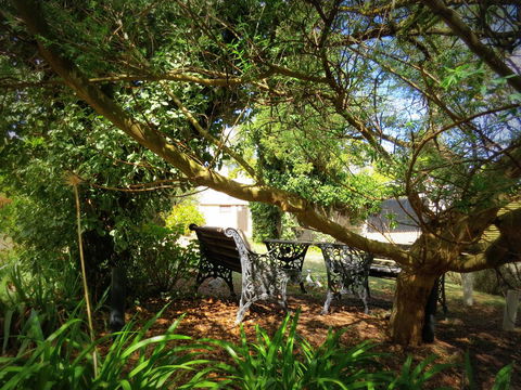 The Pig And Whistle - Australia Accommodation 4