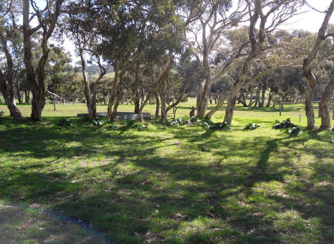 Wenton Farm Holiday Cottages - Australia Accommodation 1
